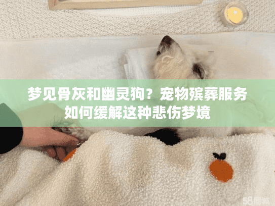 梦见骨灰和幽灵狗？宠物殡葬服务如何缓解这种悲伤梦境