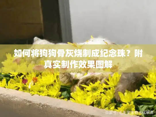 如何将狗狗骨灰烧制成纪念珠？附真实制作效果图解