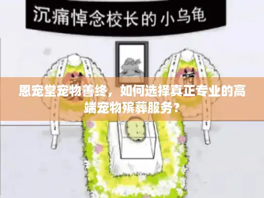 恩宠堂宠物善终，如何选择真正专业的高端宠物殡葬服务？