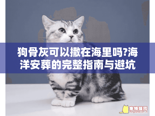 狗骨灰可以撒在海里吗?海洋安葬的完整指南与避坑清单 狗骨灰可以撒在海里吗?海洋安葬的完整指南与避坑清单