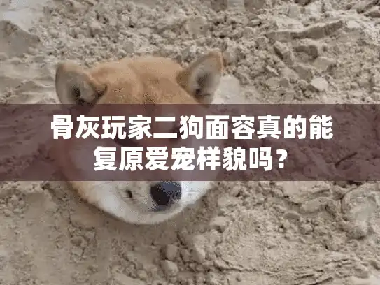 骨灰玩家二狗面容真的能复原爱宠样貌吗？