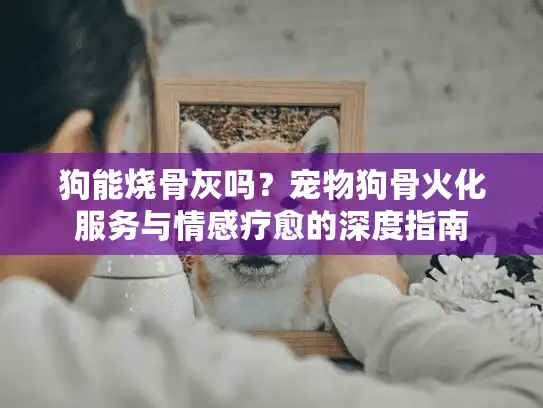 狗能烧骨灰吗?宠物狗骨火化服务与情感疗愈的深度指南 狗能烧骨灰吗?宠物狗骨火化服务与情感疗愈的深度指南