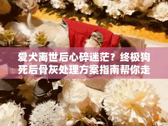 爱犬离世后心碎迷茫？终极狗死后骨灰处理方案指南帮你走出困境
