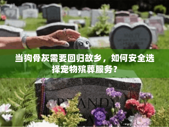 当狗骨灰需要回归故乡,如何安全选择宠物殡葬服务? 当狗骨灰需要回归故乡,如何安全选择宠物殡葬服务?