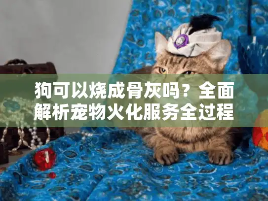 狗可以烧成骨灰吗?全面解析宠物火化服务全过程 狗可以烧成骨灰吗?全面解析宠物火化服务全过程