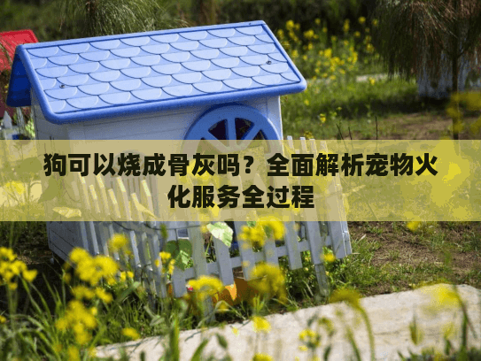 狗可以烧成骨灰吗?全面解析宠物火化服务全过程 狗可以烧成骨灰吗?全面解析宠物火化服务全过程