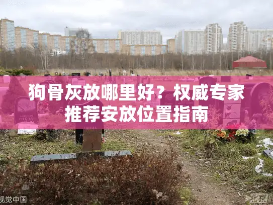 狗骨灰放哪里好？权威专家推荐安放位置指南