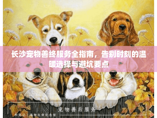 长沙宠物善终服务全指南，告别时刻的温暖选择与避坑要点