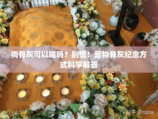 狗骨灰可以喝吗？别慌！宠物骨灰纪念方式科学解答