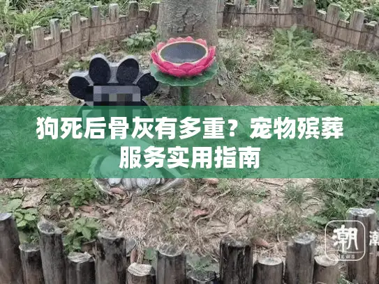 狗死后骨灰有多重？宠物殡葬服务实用指南