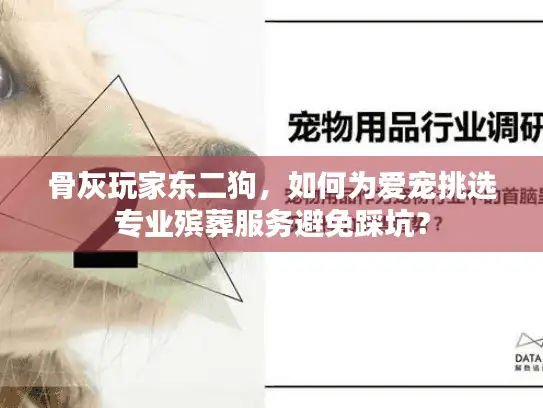 骨灰玩家东二狗,如何为爱宠挑选专业殡葬服务避免踩坑? 骨灰玩家东二狗,如何为爱宠挑选专业殡葬服务避免踩坑?