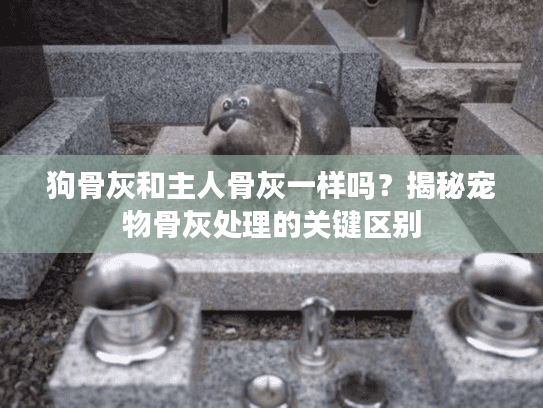 狗骨灰和主人骨灰一样吗？揭秘宠物骨灰处理的关键区别