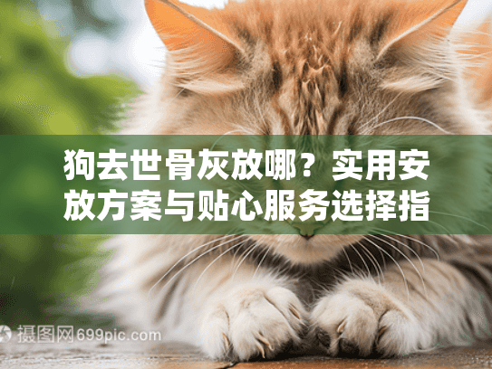 狗去世骨灰放哪？实用安放方案与贴心服务选择指南