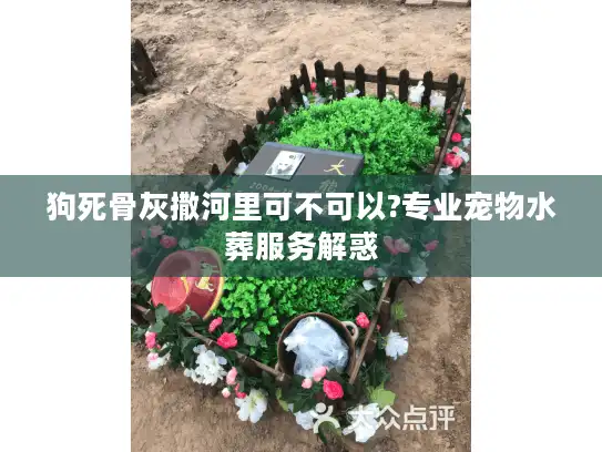 狗死骨灰撒河里可不可以?专业宠物水葬服务解惑