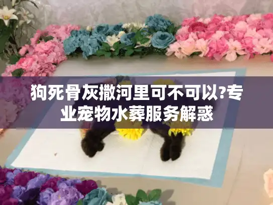 狗死骨灰撒河里可不可以?专业宠物水葬服务解惑