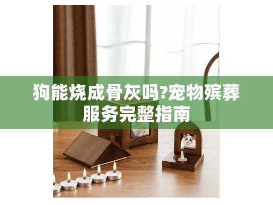 狗能烧成骨灰吗?宠物殡葬服务完整指南