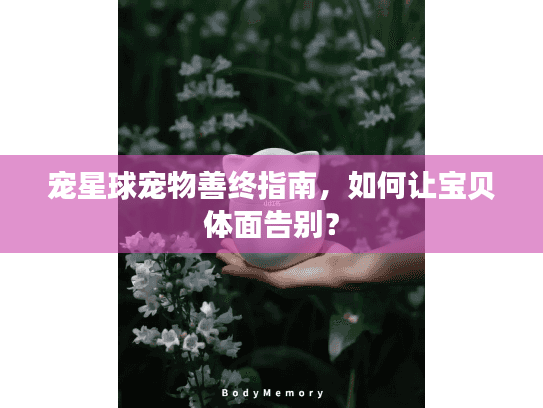宠星球宠物善终指南，如何让宝贝体面告别？