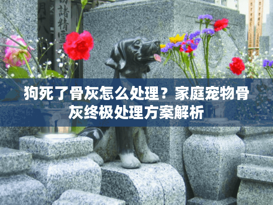 狗死了骨灰怎么处理？家庭宠物骨灰终极处理方案解析