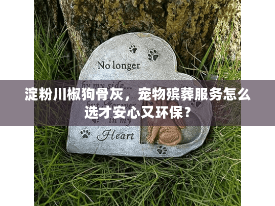 淀粉川椒狗骨灰，宠物殡葬服务怎么选才安心又环保？