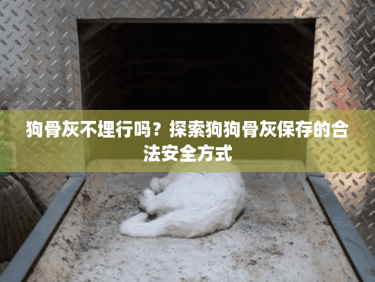 狗骨灰不埋行吗？探索狗狗骨灰保存的合法安全方式