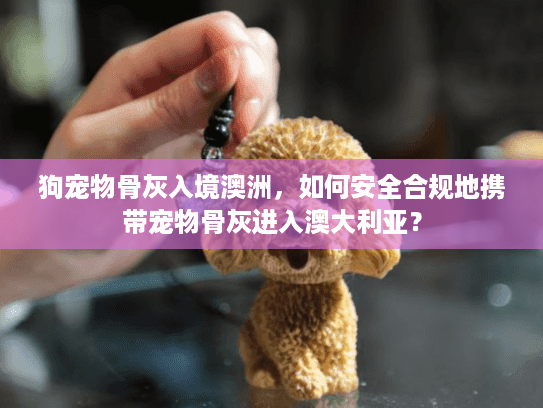 狗宠物骨灰入境澳洲，如何安全合规地携带宠物骨灰进入澳大利亚？