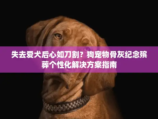 失去爱犬后心如刀割?狗宠物骨灰纪念殡葬个性化解决方案指南 失去爱犬后心如刀割?狗宠物骨灰纪念殡葬个性化解决方案指南