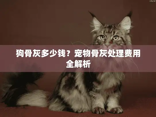 狗骨灰多少钱？宠物骨灰处理费用全解析