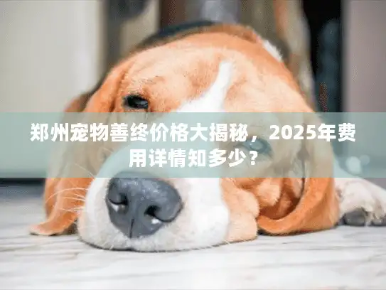 郑州宠物善终价格大揭秘，2025年费用详情知多少？