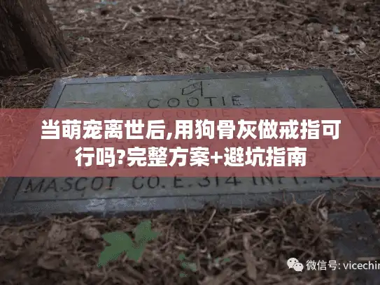 当萌宠离世后,用狗骨灰做戒指可行吗?完整方案+避坑指南 当萌宠离世后,用狗骨灰做戒指可行吗?完整方案+避坑指南