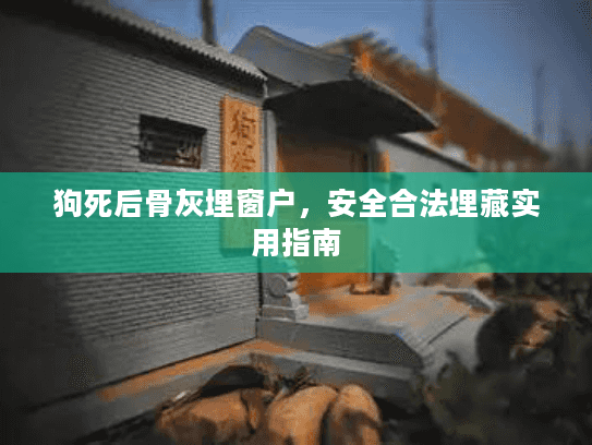 狗死后骨灰埋窗户，安全合法埋藏实用指南