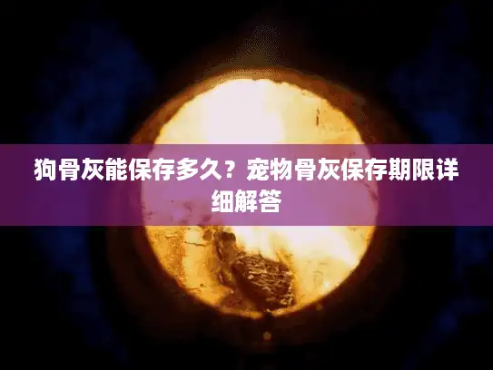 狗骨灰能保存多久？宠物骨灰保存期限详细解答