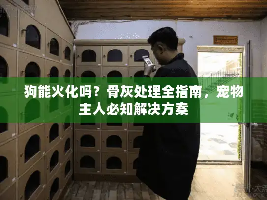狗能火化吗？骨灰处理全指南，宠物主人必知解决方案