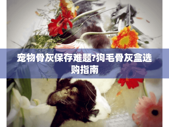 宠物骨灰保存难题?狗毛骨灰盒选购指南