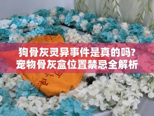 狗骨灰灵异事件是真的吗?宠物骨灰盒位置禁忌全解析 狗骨灰灵异事件是真的吗?宠物骨灰盒位置禁忌全解析