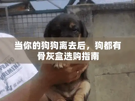 当你的狗狗离去后,狗都有骨灰盒选购指南 当你的狗狗离去后,狗都有骨灰盒选购指南