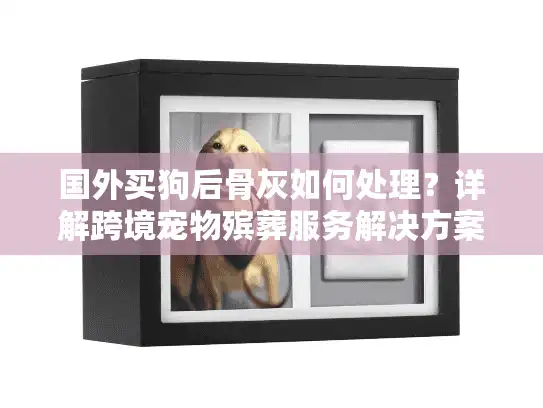 国外买狗后骨灰如何处理？详解跨境宠物殡葬服务解决方案