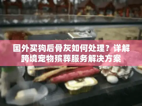 国外买狗后骨灰如何处理？详解跨境宠物殡葬服务解决方案