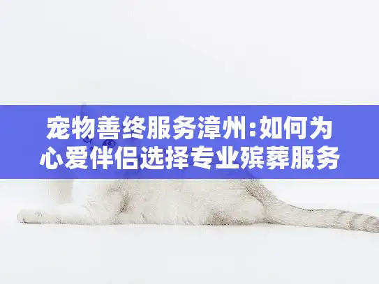 宠物善终服务漳州:如何为心爱伴侣选择专业殡葬服务?
