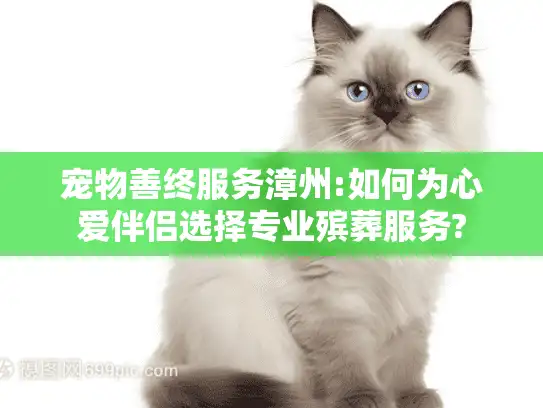 宠物善终服务漳州:如何为心爱伴侣选择专业殡葬服务?