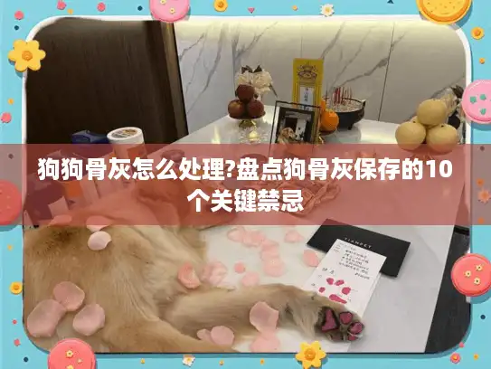 狗狗骨灰怎么处理?盘点狗骨灰保存的10个关键禁忌