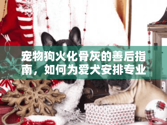 宠物狗火化骨灰的善后指南，如何为爱犬安排专业尊严告别