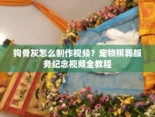 狗骨灰怎么制作视频？宠物殡葬服务纪念视频全教程