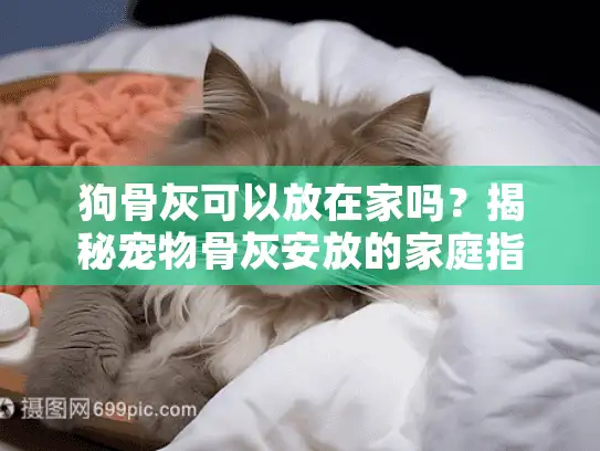狗骨灰可以放在家吗？揭秘宠物骨灰安放的家庭指南与情感价值