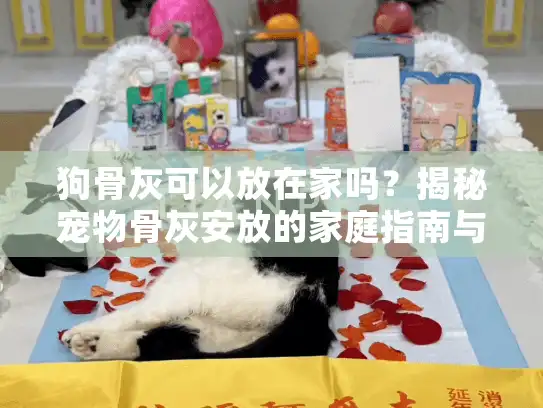 狗骨灰可以放在家吗？揭秘宠物骨灰安放的家庭指南与情感价值