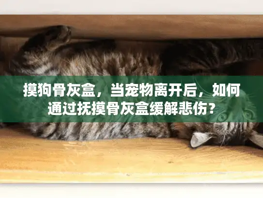 摸狗骨灰盒，当宠物离开后，如何通过抚摸骨灰盒缓解悲伤？