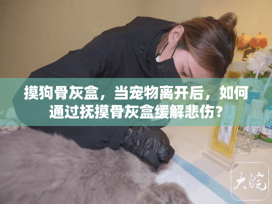 摸狗骨灰盒，当宠物离开后，如何通过抚摸骨灰盒缓解悲伤？