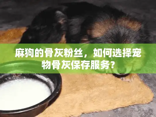 麻狗的骨灰粉丝,如何选择宠物骨灰保存服务? 麻狗的骨灰粉丝,如何选择宠物骨灰保存服务?