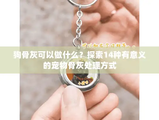 狗骨灰可以做什么？探索14种有意义的宠物骨灰处理方式