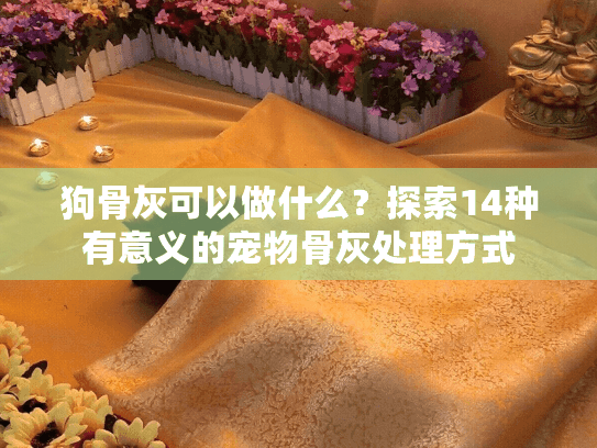 狗骨灰可以做什么？探索14种有意义的宠物骨灰处理方式