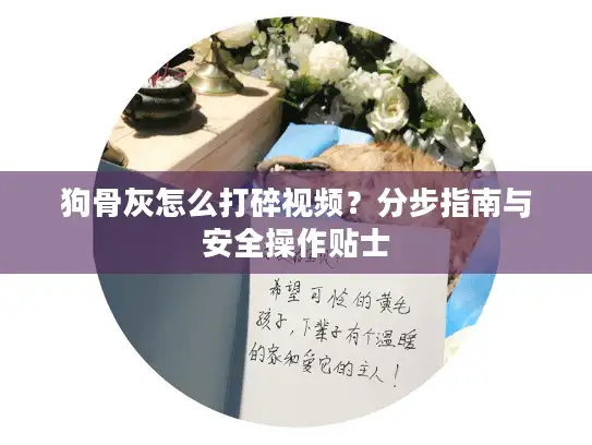 狗骨灰怎么打碎视频?分步指南与安全操作贴士 狗骨灰怎么打碎视频?分步指南与安全操作贴士